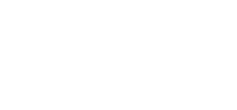 BizSol-logo